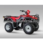 Cuatriciclo Motomel Quest 250