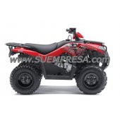 Kawasaki Brute Force 300